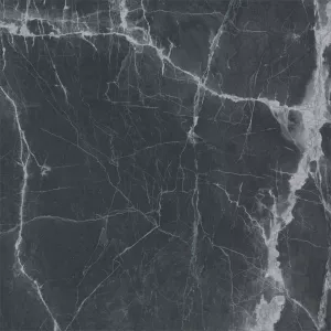 Плитка Fanal керамогранит New Ice Black 90x90 матовая