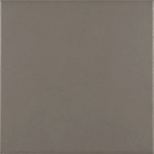 Плитка напольная Ceramica Ribesalbes Antigua Base Gris 20x20 PT02104