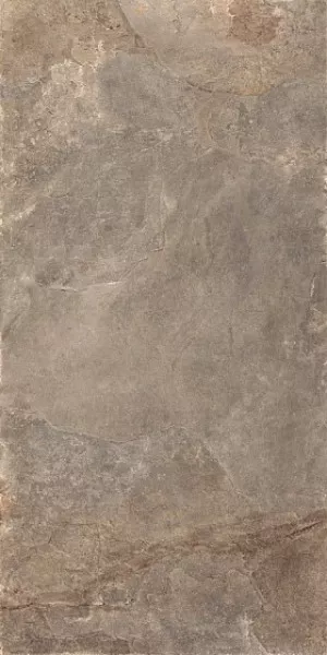 Плитка Керамогранит Rondine Ardesie Taupe 120x60 J86980