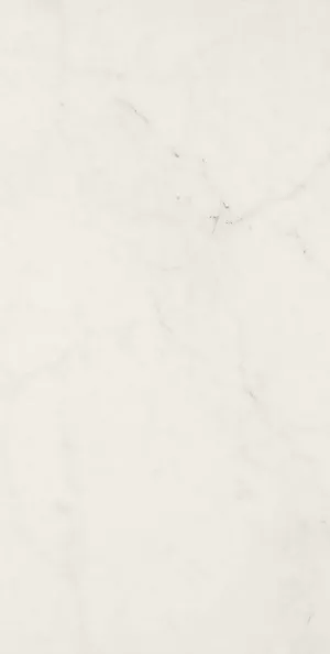 Плитка керамогранит Marazzi Allmarble Altissimo Rett. MMFC 120x60 матовая