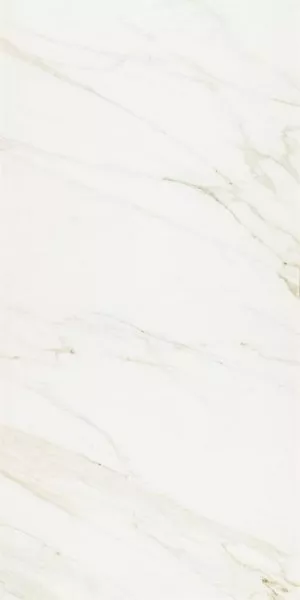 Плитка керамогранит Marazzi Evolutionmarble Calacatta Rett. MHV3 120x60 матовая