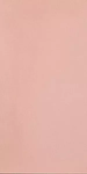 Плитка Casalgrande Padana керамогранит 120x60 R-EVOLUTION LIGHT PINK 10MM 11460135 матовая