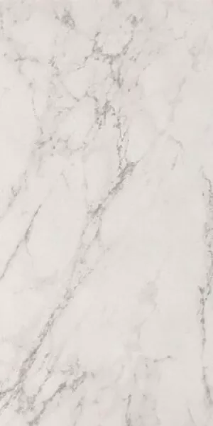 Плитка Fap Ceramiche керамогранит 120x60 ROMA STONE CARRARA DELICATO MATT R9 fQW8 fqw8 матовая