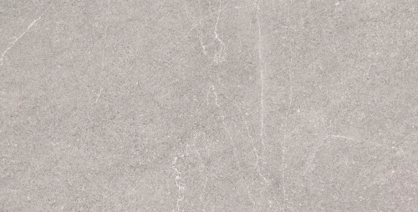 Плитка Керамика Будущего керамогранит 120x60 ARCADIA Ceramica Equistone Gris RG матовая