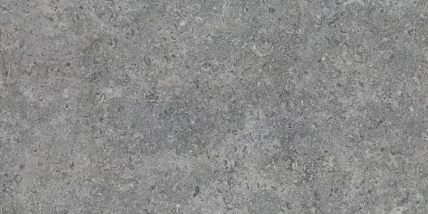 Плитка Argenta керамогранит 60x30 Etienne Grey RC